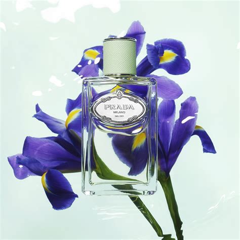 prada iris perfume 100ml|prada perfume iris review.